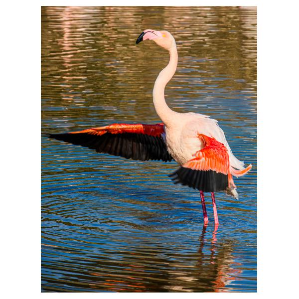 PHOTO84, CLUB, 84 , LUBERON